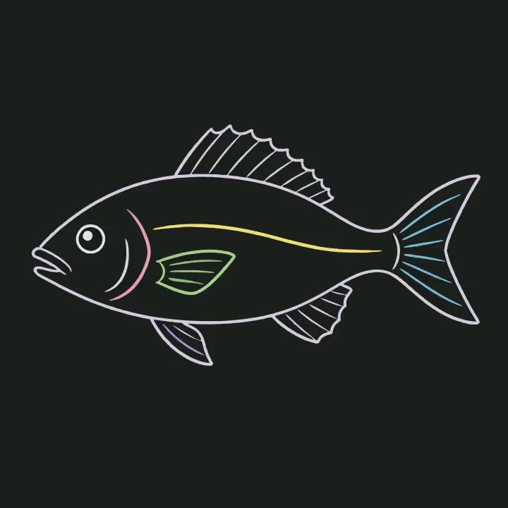Colorful Fish Chalk Art